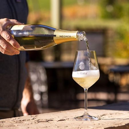 Agriturismo La Ratta Vernasca Zewnętrze zdjęcie