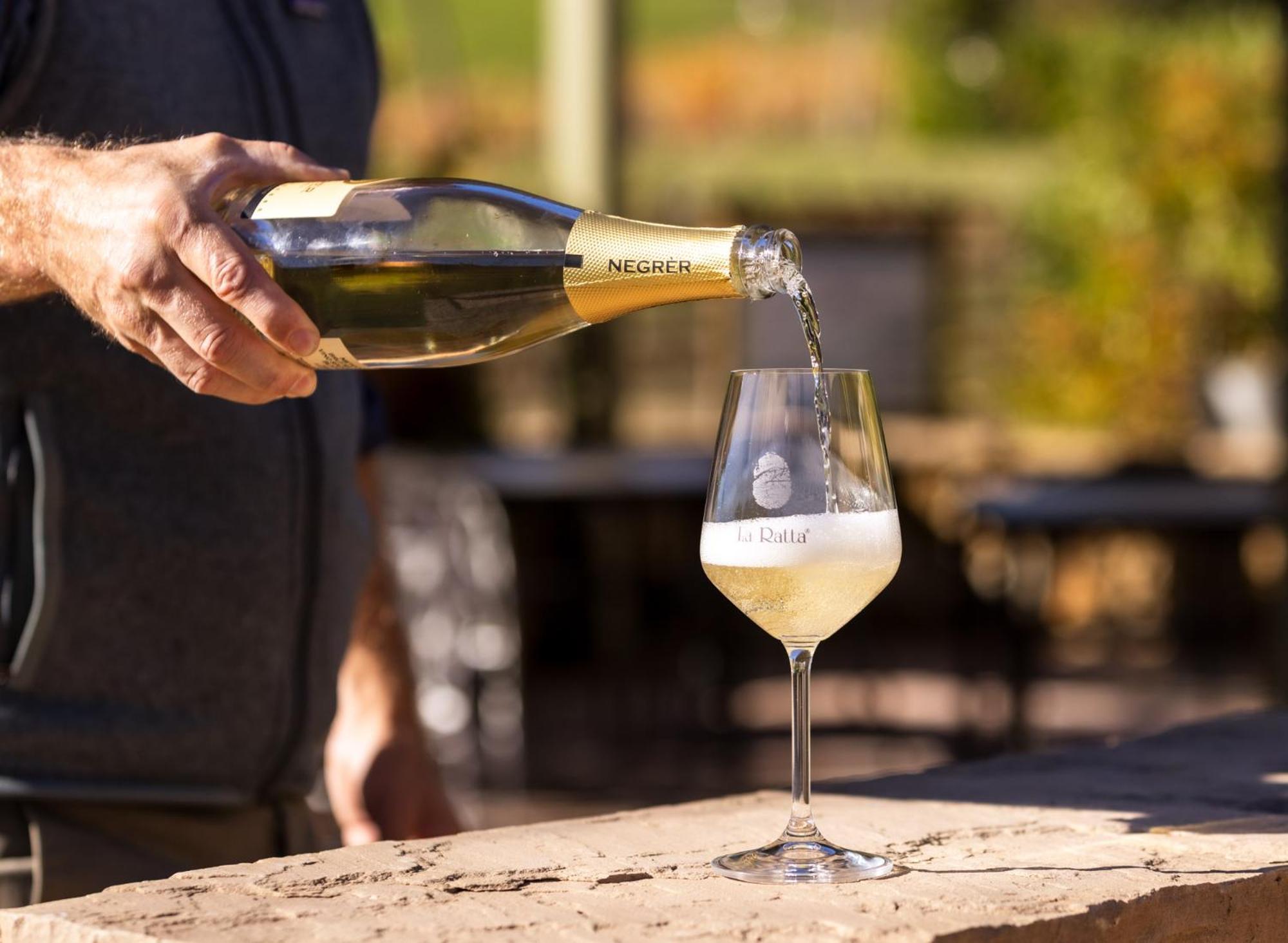 Agriturismo La Ratta Vernasca Zewnętrze zdjęcie